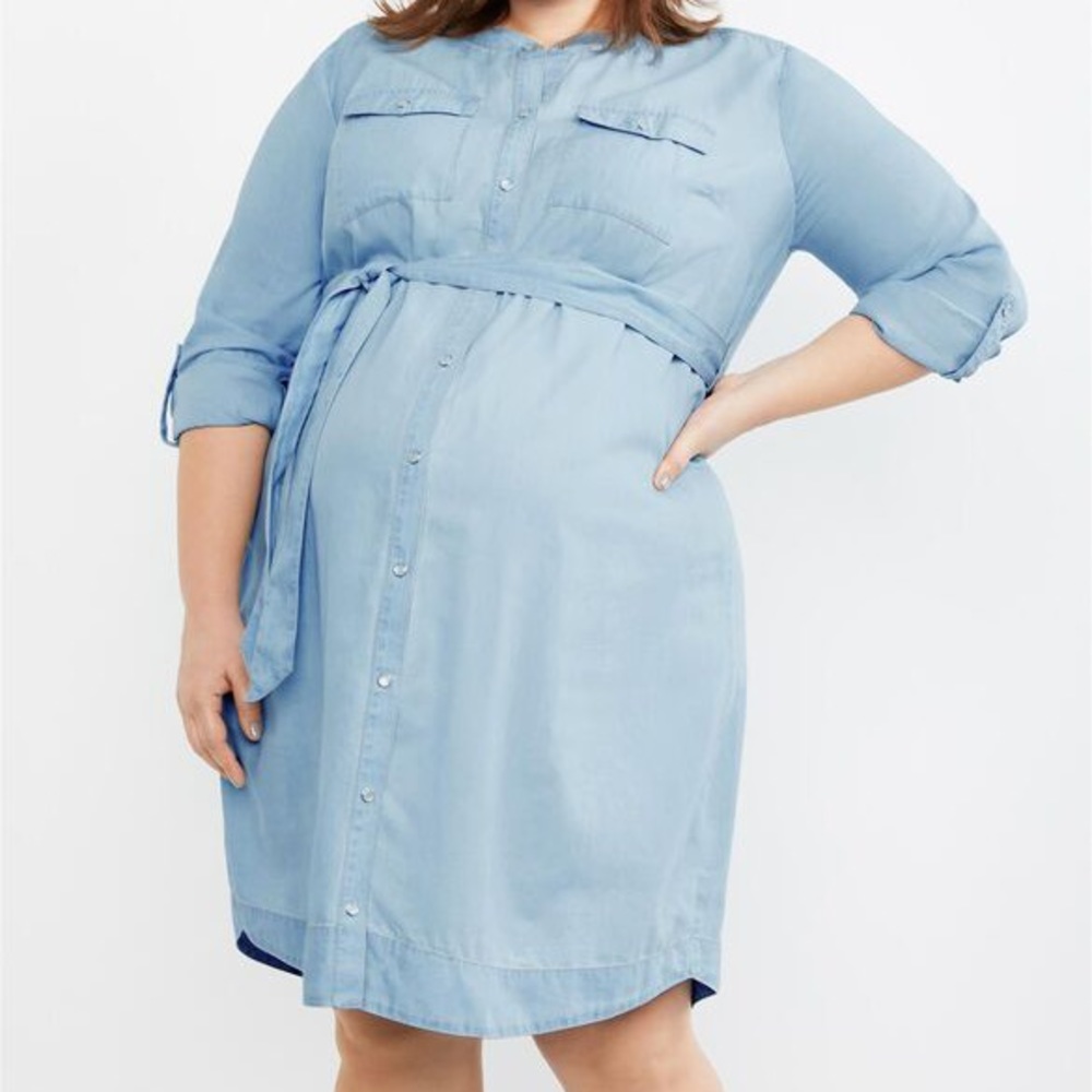 Snapdown Chambray Motherhood Maternity Dress